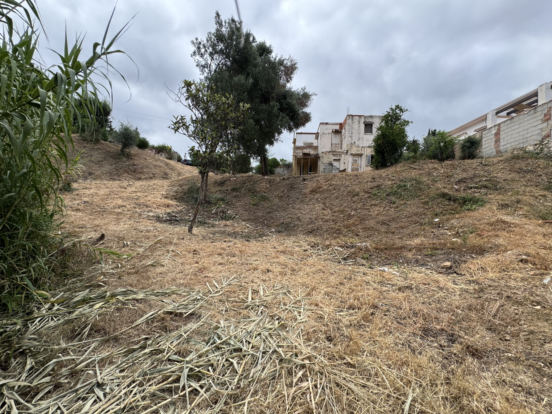 Mijas
